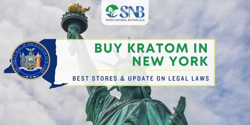 Buy Kratom in New York – Best Stores & Update on Legal Laws
