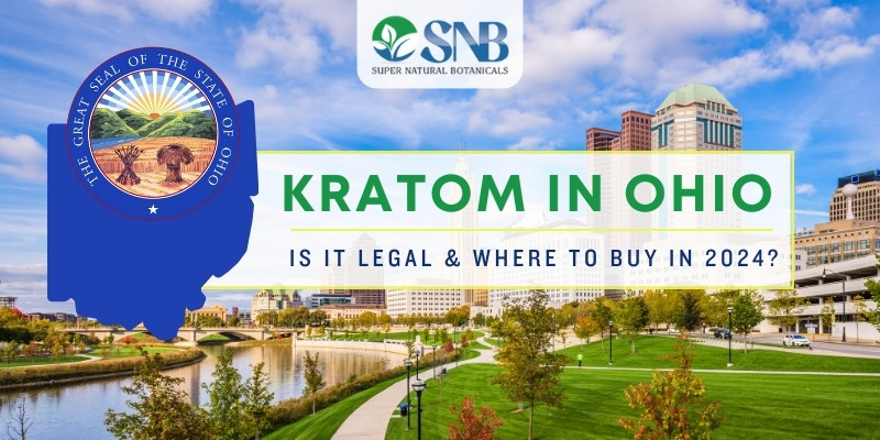 Kratom in Ohio Is It Legal & Where to Buy in 2024
