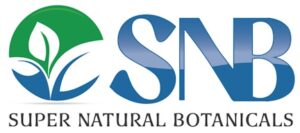supernatural2 logo small